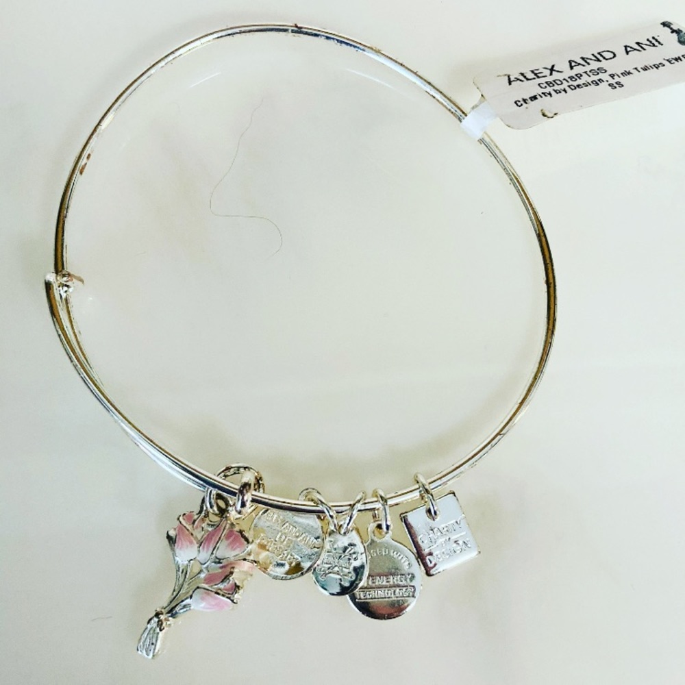 Alex and Ani charm bangle